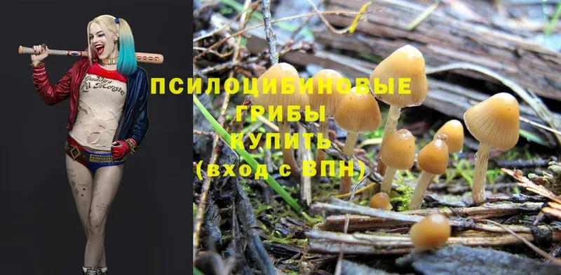 Галлюциногенные грибы Magic Shrooms  цена наркотик  mega как войти  Кореновск 